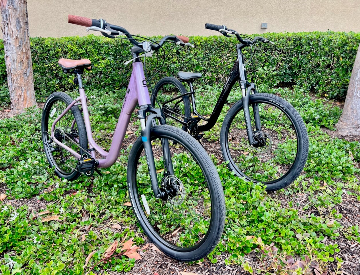 specialized roll low entry for sale